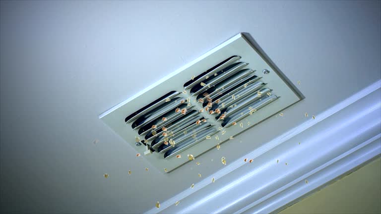 Best Emergency Air Duct Cleaning  in Kirby, TX