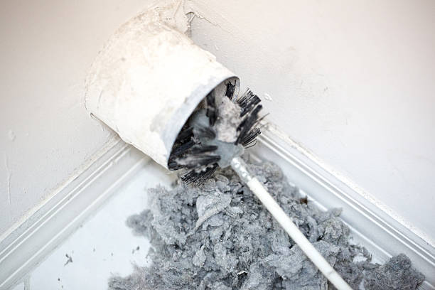 Best Affordable Duct Cleaning Services  in Kirby, TX